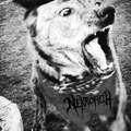 Vomit Dog (demo)
