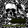Hybridized Deformity (2023)