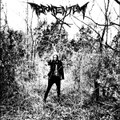 Descend into Destruction