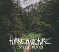 In the Pines -- Acoustic Demo