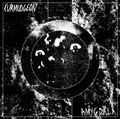 Amygdala