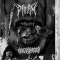Split with Pinion