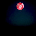 The Pitying Moon & The Terrible Truth