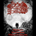 Of Evill Sorceries  Done In New-England  Of Daemons In No Humane Shape