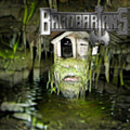 Dankmuhn's Basement Dwellings