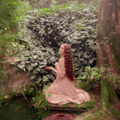 THE ANGEL IN THE SOUND