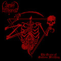 Gnawed and Torn