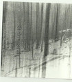 Rotted Roots