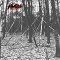 TOMORROW IS NO LONGER A MUST [SINGLE]