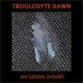 Ant Tattoos (Retold)