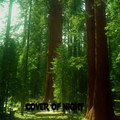 Cover of Night