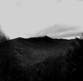 The Old North