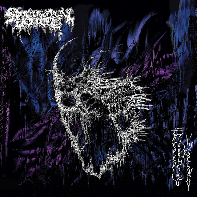 Eroded Corridors of Unbeing