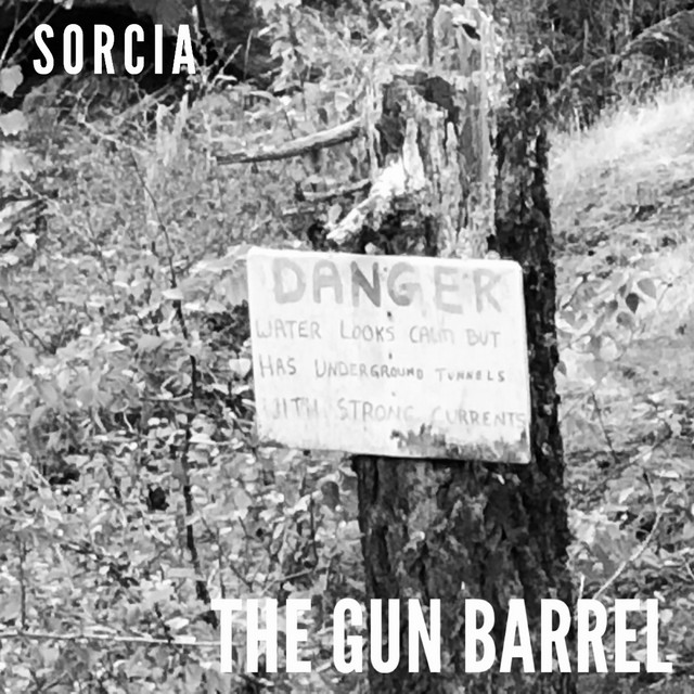 The Gun Barrel