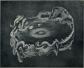 Dark Citadel