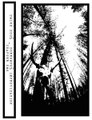 Sorrowful Improvisation Ch. 2