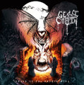 ORDER OF THE BROKEN WING