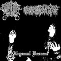 Abysmal Descent