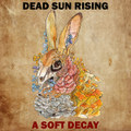 A Soft Decay
