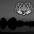 Desolated In Complete Darkness