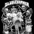 Organ Harvester