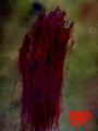 Depraved Flesh