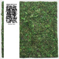 Earthen Cloak