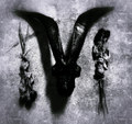 Veiled