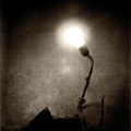 Denouement