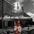 Look at the Flowers
