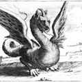 Draconic Wrath