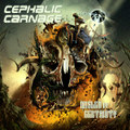 Misled by Certainty (Deluxe Edition)